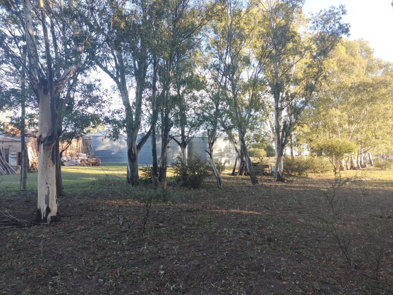 CAMPO EN MEDANOS