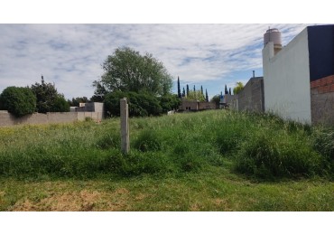 TERRENO BUENA UBICACION